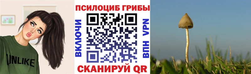 Галлюциногенные грибы GOLDEN TEACHER  купить наркотики цена  Агрыз 